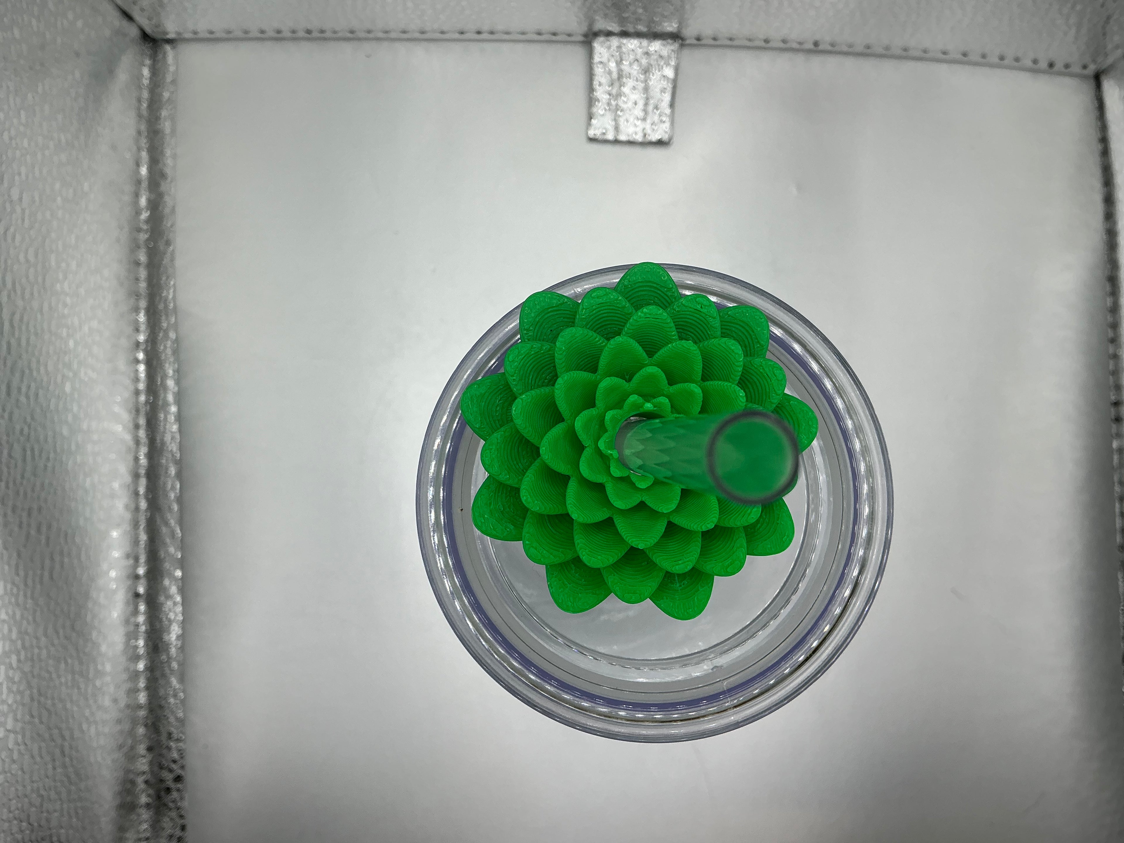 Succulent lid topper