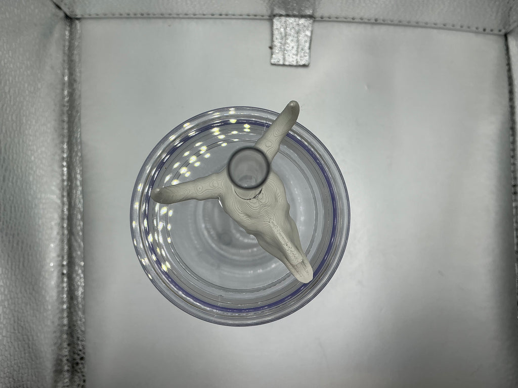 Cow skull lid topper