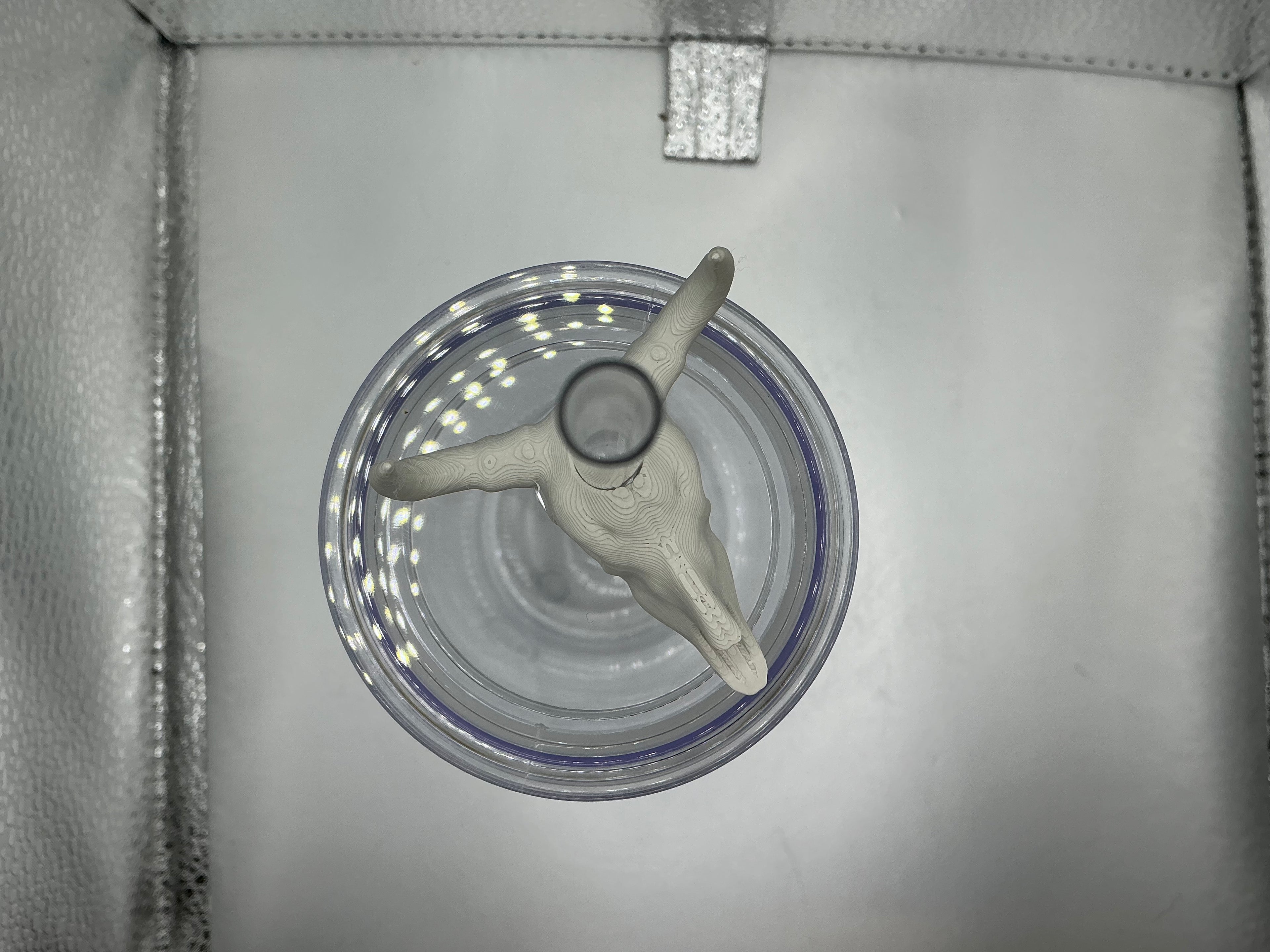 Cow skull lid topper