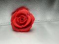Light red rose lid topper