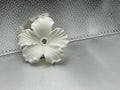 White hibiscus lid topper